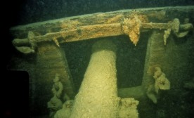 Long gun cannon with crossed naval cutlasses.