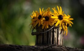 Flowers in a recycled container