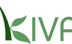 Kiva Logo