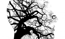 Corruption of purity.