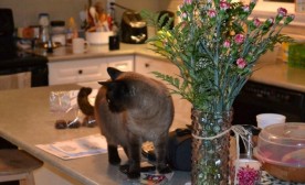 "Okay, no one is looking."