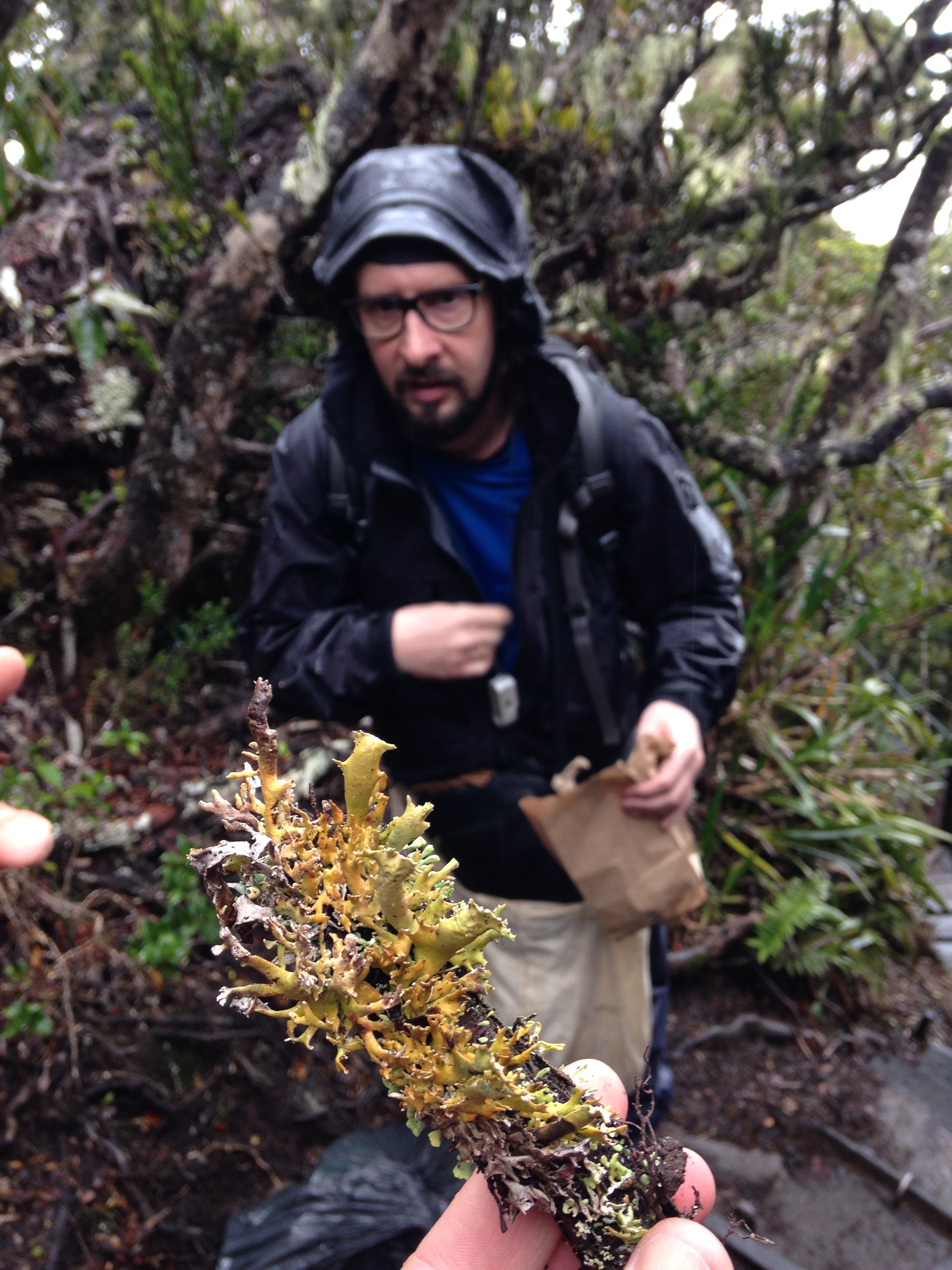 Collecting lichens along the trail on Mount Kinabalu (Adam).